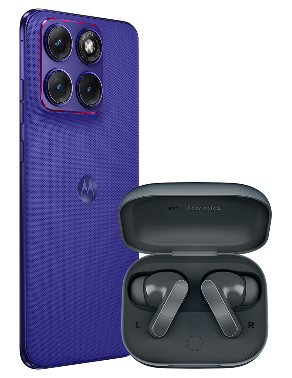 Morado 2