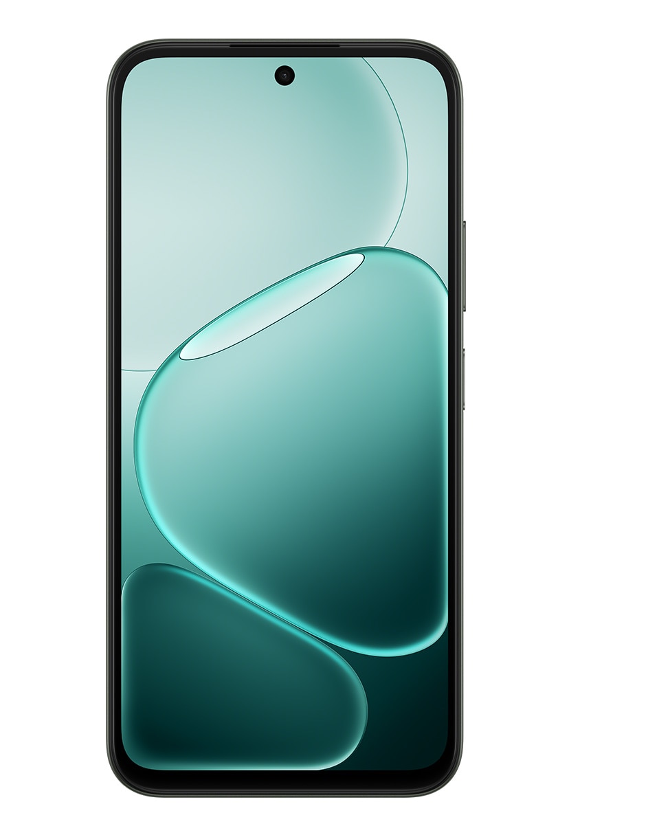 OLIVA 2